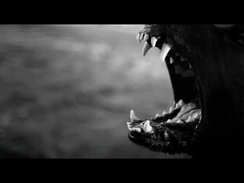 Youtube: Textures - Awake