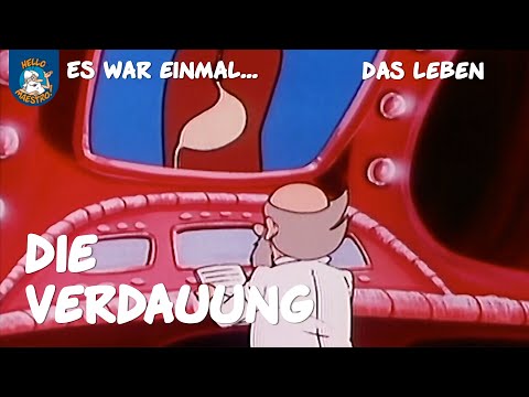 Youtube: Die Verdauung (Es war einmal... das Leben | Ausschnitt)