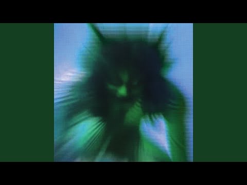 Youtube: Honesty