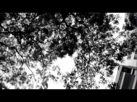 Youtube: Moby - Harbour