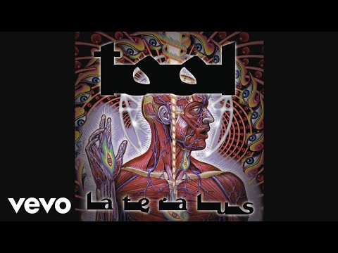 Youtube: TOOL - Ticks & Leeches (Audio)