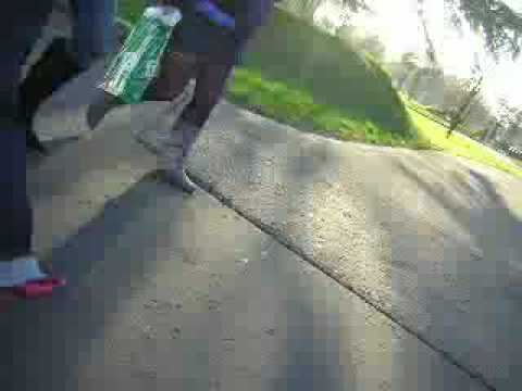 Youtube: Perfect day -- lou reed