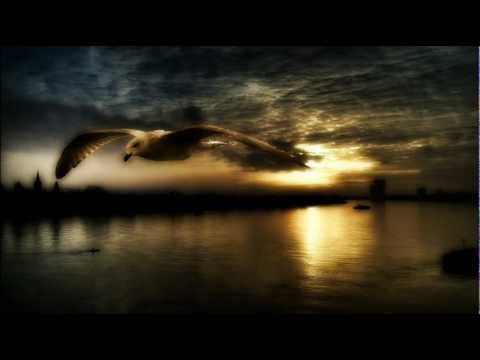 Youtube: Hiatus & Shura - Fortune's Fool (Clubroot Remix)