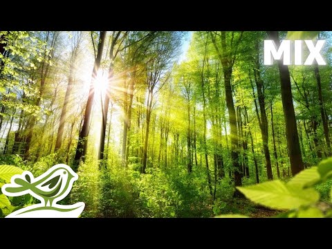Youtube: Peder B. Helland - Sunny Mornings (Full Album)