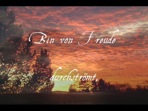 Youtube: ASP - Heaven (aus Requiem)