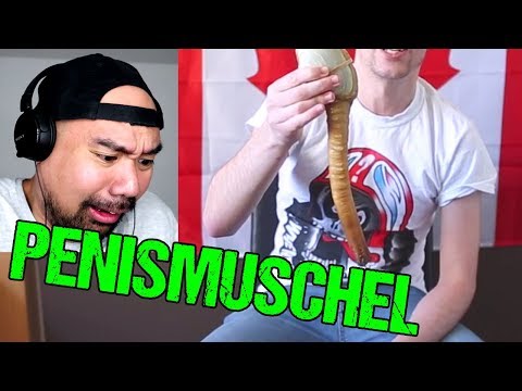 Youtube: So eine Muschel hast du noch nie gesehen | Königsmuschel | Geoduck