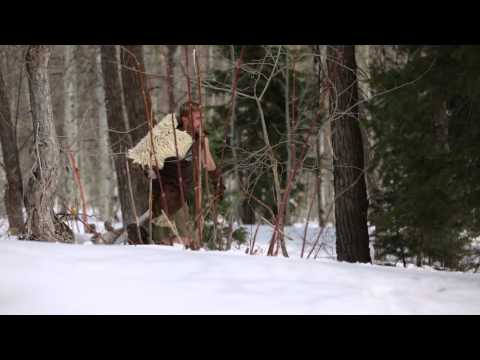 Youtube: Skyrim - Lindsey Stirling & Peter Hollens