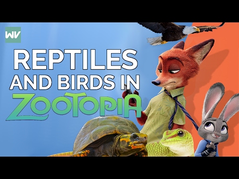 Youtube: No Birds or Reptiles in Zootopia Explained | Zootopia Theory: Discovering Disney