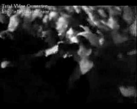 Youtube: Hitler Parodie