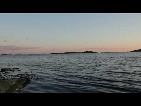 Youtube: Old Sea Brigade - Polygraph (Official Visualizer)