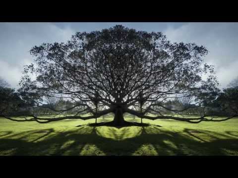 Youtube: Everything Changes (Album) - Julian Lennon 'Everything Changes' The Videos