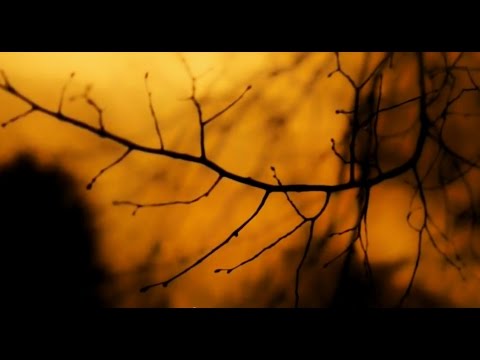 Youtube: Pearl Jam - Pendulum