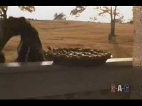 Youtube: Alison Krauss-Gillian Welch - I'll Fly Away