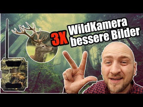 Youtube: ✅3 Fehler die Wildkamera Besitzer machen !