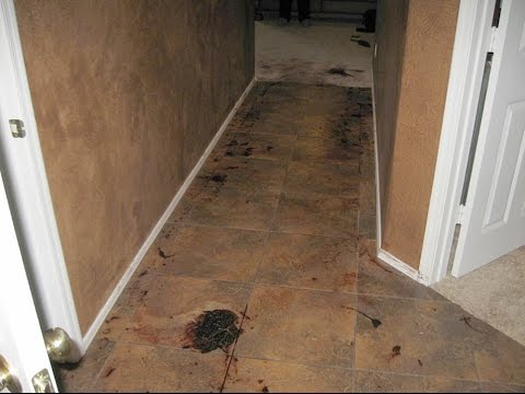 Youtube: Jodi Arias Blood Spatter expert