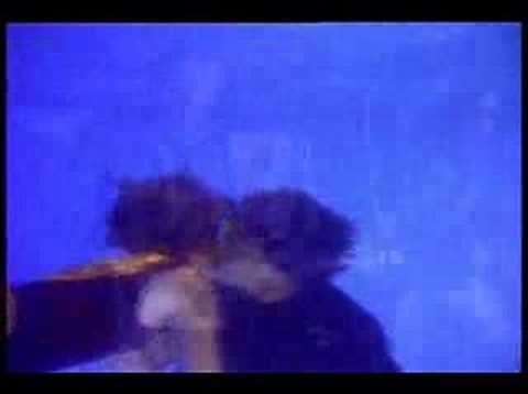 Youtube: Into the Great Wide open music vid johnny depp