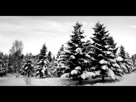 Youtube: :Of The Wand & The Moon: - Wintry Mantle
