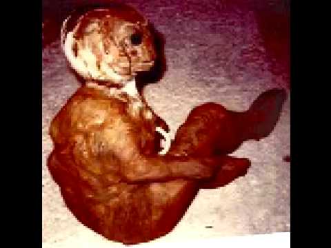 Youtube: Alien Creature