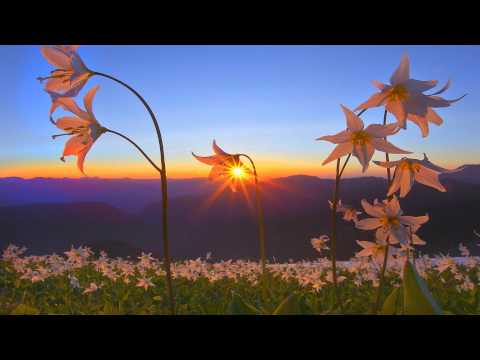 Youtube: A.N.O. vs Shadowx - Let It Breathe