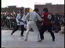 Youtube: Very rare fight kung fu vs taekwondo (Master Ehsan Shafiq)