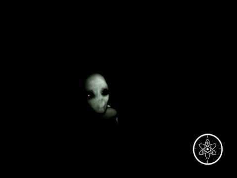 Youtube: Grey Alien Capture  -  The evidence of a great hoax