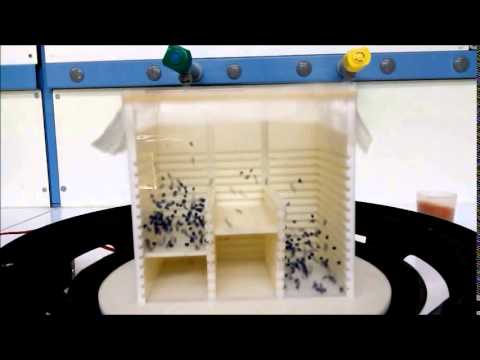 Youtube: Poincaré-Zermelo paradox made true