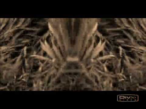 Youtube: Duran Duran Come Undone