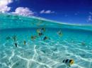 Youtube: Chicane - Offshore (Ambient Mix)