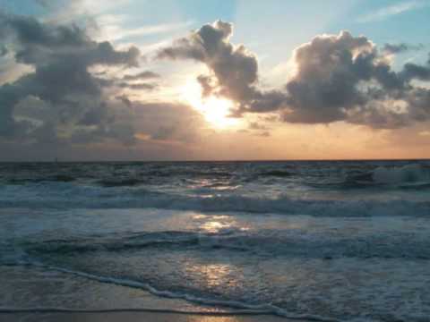 Youtube: Paul van Dyk - Forbidden Fruit