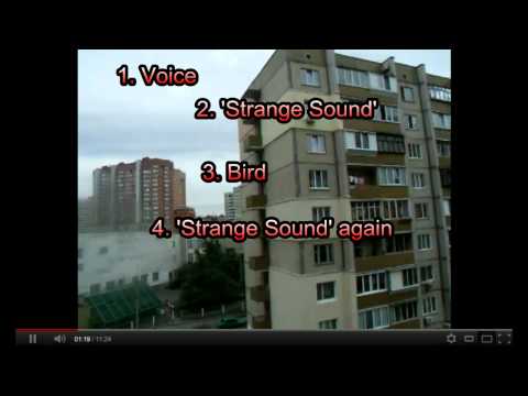 Youtube: Strange Sounds in Conklin Hoax - 10 Straight Seconds of Audio Ripped from Another Video
