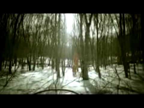 Youtube: Interpol - C'mere