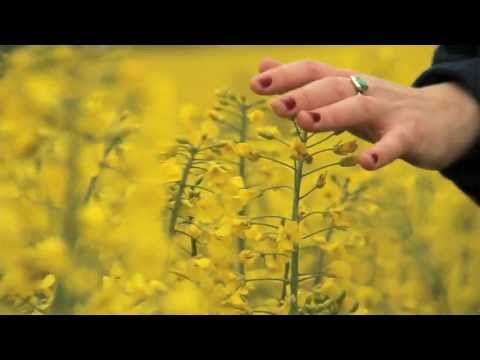 Youtube: Emily Barker & The Red Clay Halo - Nostalgia