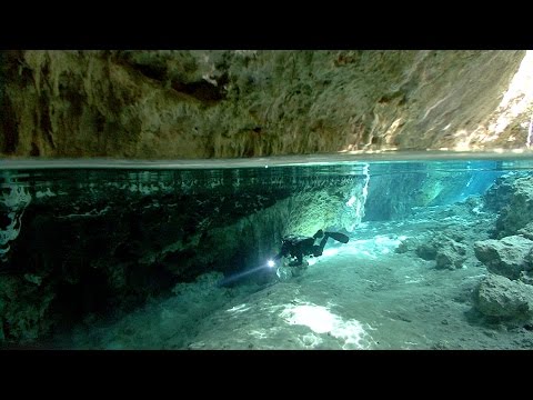 Youtube: The Blind Cavefish | JONATHAN BIRD'S BLUE WORLD