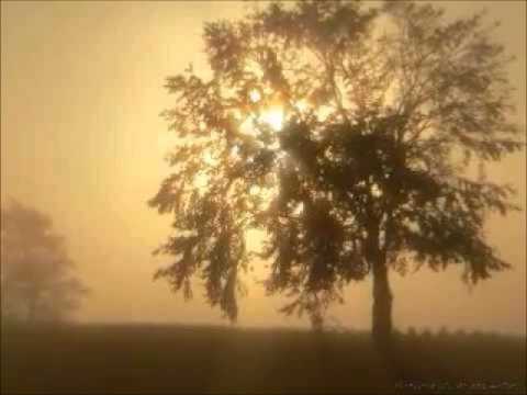 Youtube: Enrico Toselli - Serenata
