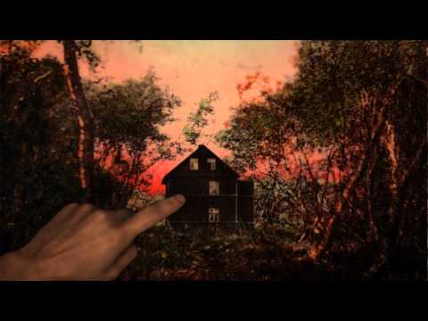 Youtube: Sóley: "Smashed Birds"
