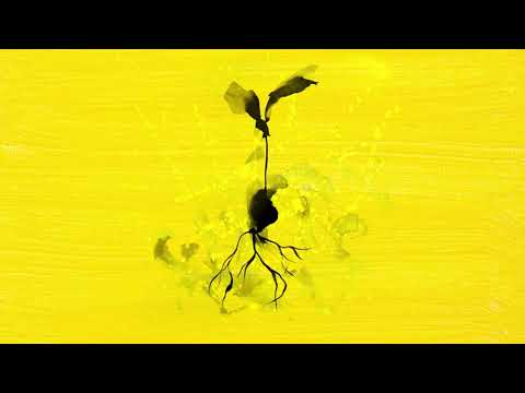 Youtube: Ed Sheeran - Life Goes On (feat. Luke Combs) [Official Visualiser]