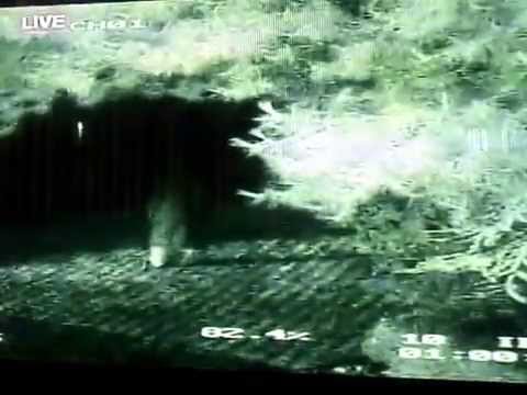 Youtube: Carlwood 6.25.09