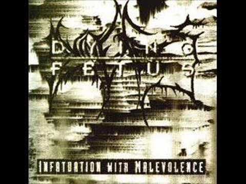 Youtube: Dying Fetus Your Blood is My wine