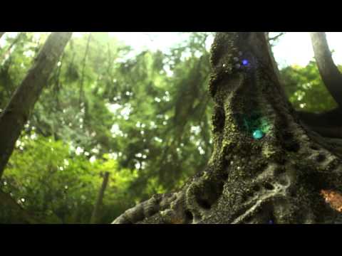 Youtube: LIQUID STRANGER - The Gargon (OFFICIAL VIDEO) from "Renegade Crusade EP"