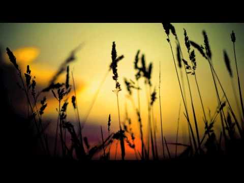 Youtube: Smote - Summertime