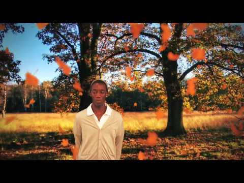 Youtube: Andreas Vollenweider Airdance (VideoClip)