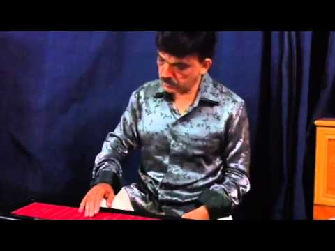 Youtube: Continuum fingerboard Haken Pallav sitar