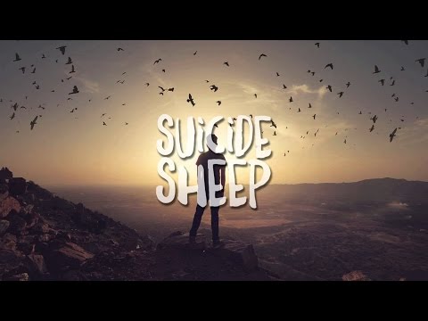 Youtube: Hopium - Dreamers (feat. Phoebe Lou)