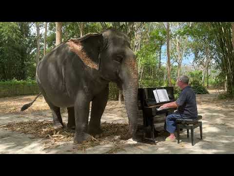 Youtube: Beethoven for an Elephant