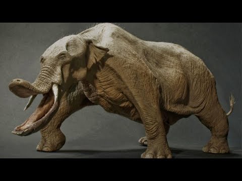 Youtube: 10 Tiere, die glücklicherweise ausgestorben sind!
