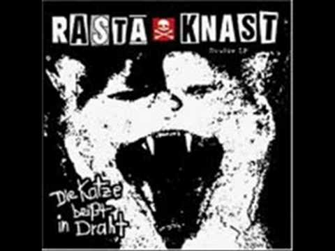 Youtube: Rasta Knast-Die Katze beisst in Draht