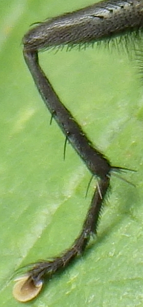 KK 6057bein