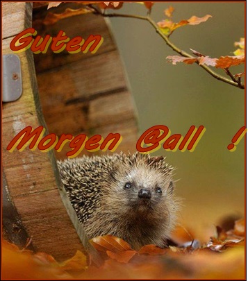 gutenmorgen13