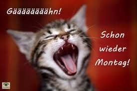 montag1