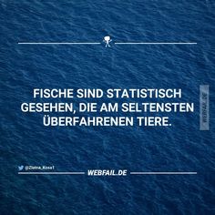 00bb8dde53df5fe7d2af2c1e679af4e5--fail-v